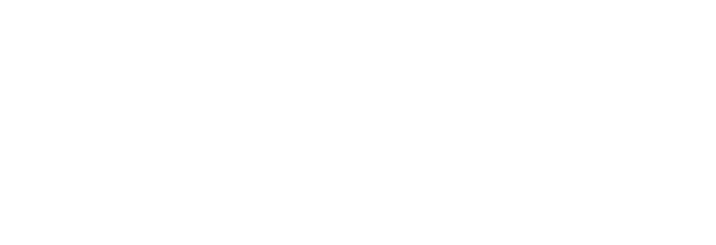 Apple Business Partner